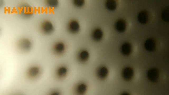 ТОП 13 ВЕЩЕЙ ПОД МИКРОСКОПОМ