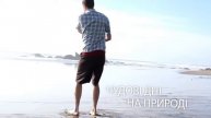 Pure Vision 2 контактні лінзи