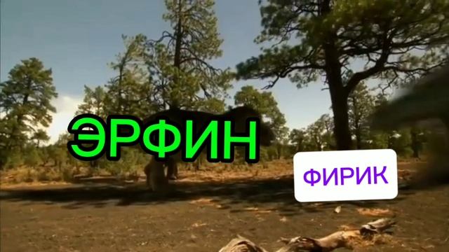 ОТВЕТ ФИРИКУ!!!