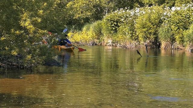 Каякинг на Камчатке | Kayaking Kamchatka 2018