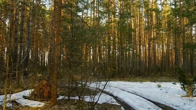 Я любил, сл. В. Шентала, муз. и исп. ИИ SUNO, запр. С. Морозов