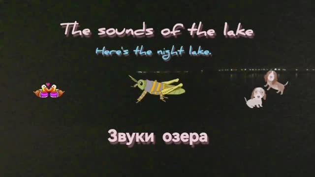 #ЗВУКИ #ОЗЕРА 🔊 THE #SOUNDS OF THE #LAKE 👑 #МилаДрим #MilaDream #MilaDreamQueen 👑