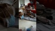 Пес помирає
