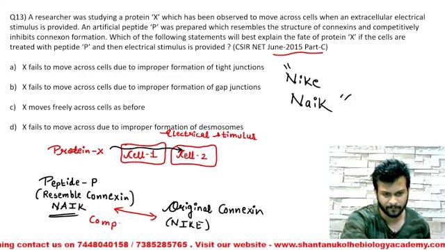 Cell Junction PYQs | CSIR NET LIFE SCIENCE PYQs | Last 13 Years | By FACE THE TEST