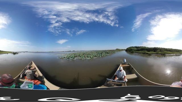 Лотос360