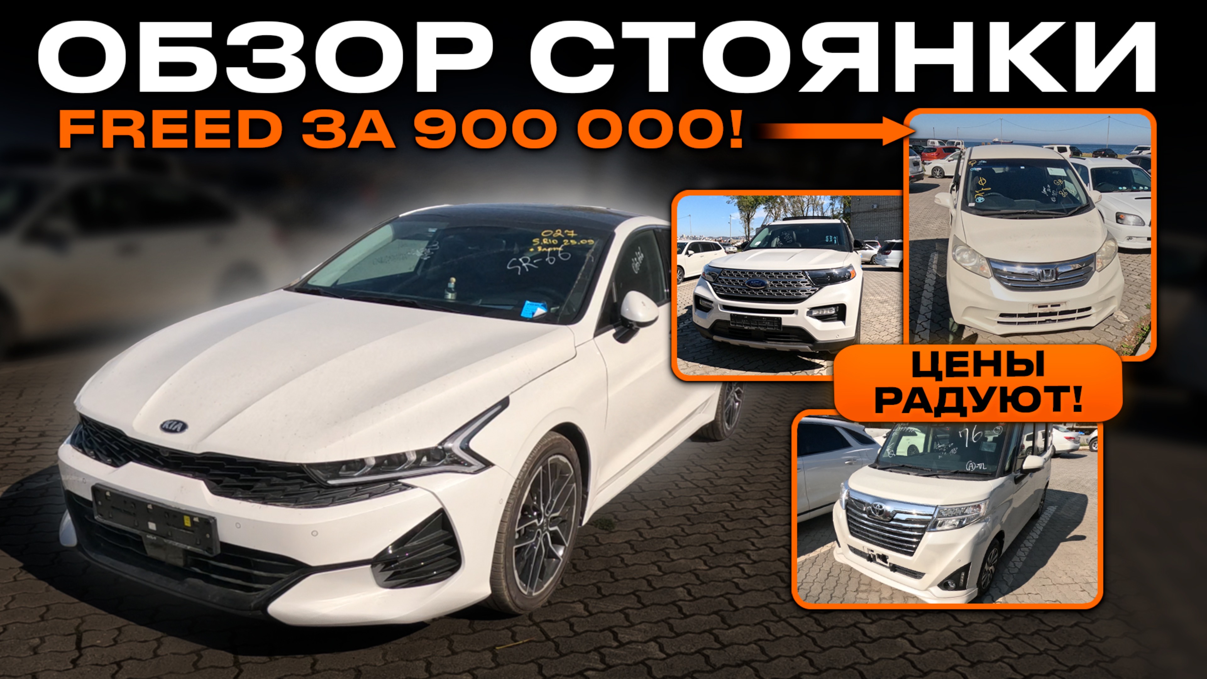 Парковка забита под завязку! Новый привоз авто октябрь 2024: актуальные цены