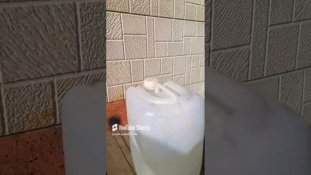 лягушка!?!!?!