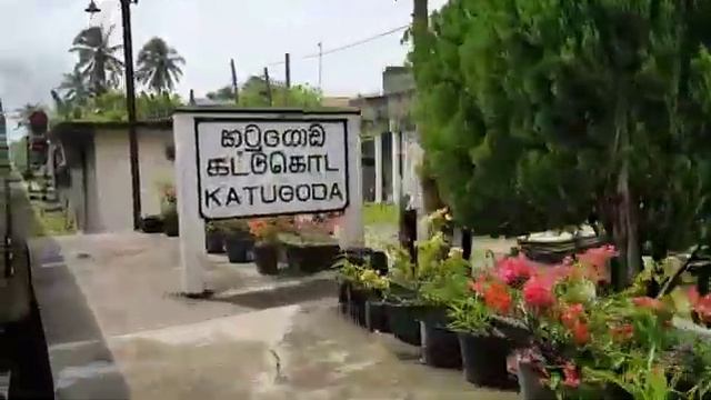 Шри-Ланка. Поезд из Галле в Мириссу. Sri Lanka. Galle. Mirissa.
