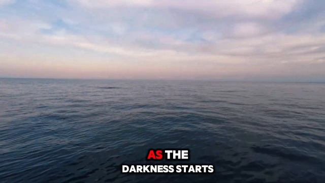 Golden Hour Serenity: Sunset Sailing and Ocean Beauty | Music Video