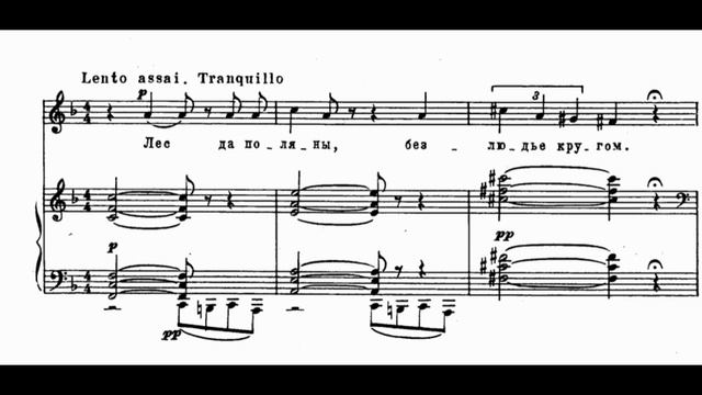 Трепак — М. П. Мусоргский | Исполняет Андрей Киселев