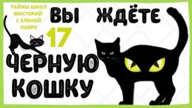 Черная кошка перешла вам  дорогу ?  Что это значит? Тайны школ Мистерий 17  с Леной Лавру .