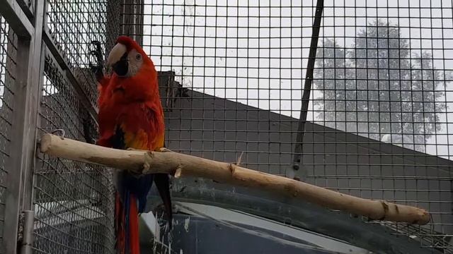 Зимний сад в Бресте