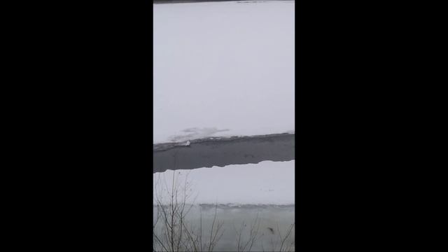 117день1часть.mp4