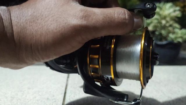 Reel Spinning Daiwa BG 4000