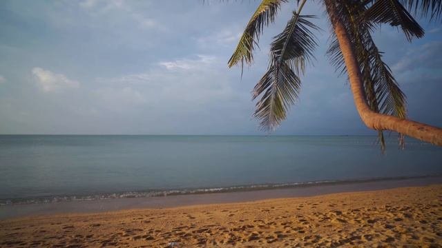 2 ЧАСА! Океан. Звук прибоя. Белый песок и пальмы. Relax. Пальма.Море. Волны. Пляж.Отдых . Релакс