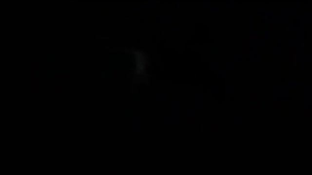Вена. Музей музыки. 4