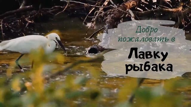 Добро пожаловать в Лавку рыбака!