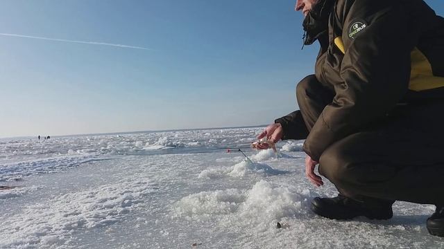 корюшка март штаны...
