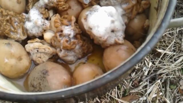 20220430 Квест Строчки