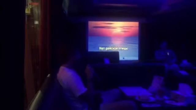Первый на Пхукет Караоке - бар «Каракатица"