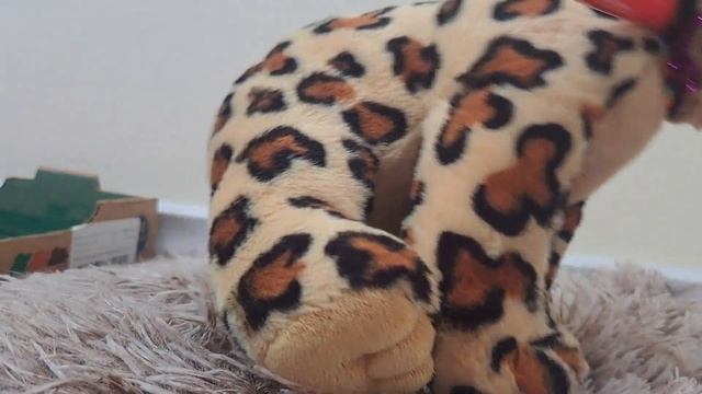 что такое петля для ловли