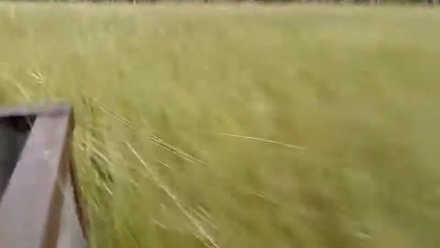 Мотоцикл урал