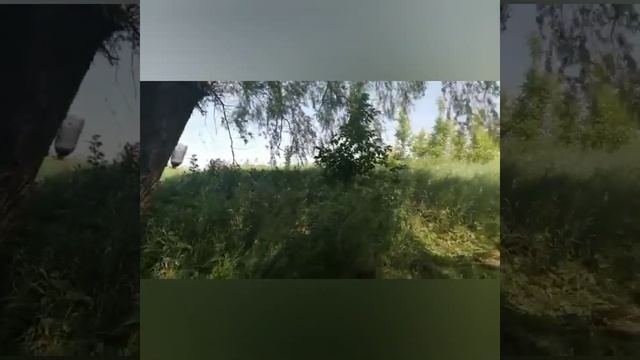 Рыбалка в Астраханской обл. Красноярский р-н р.Бузан. и не только.