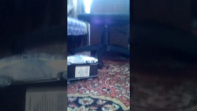 украли деньги у железного медведя Валеры желтобрюх нас обокрал приманка для медведя