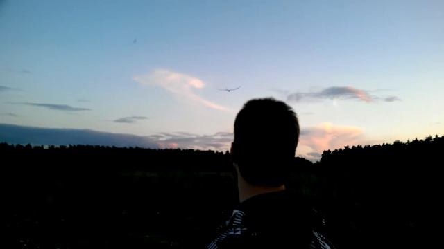 Мягкая посадка планера - A Good Landing - Radian RC