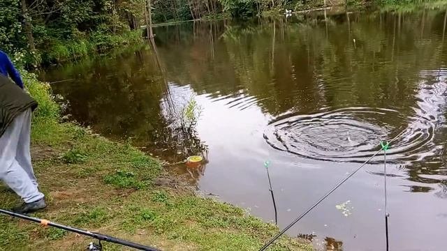 Весной зарыбили ,летом ловим😀