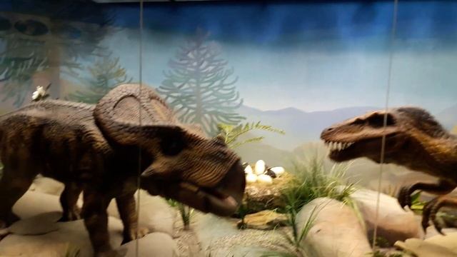 В музее Дарвина. Москва. 3/At the Darwin Museum. Moscow. 3