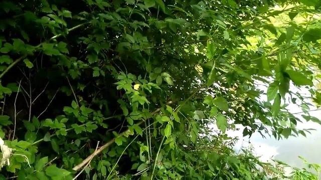 НА РЫБНОЙ ВОЛНЕ ЧАСТЬ_2