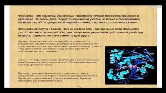 Презентация по капсулам Скинни Файбер Щ. Наталья   YouTube