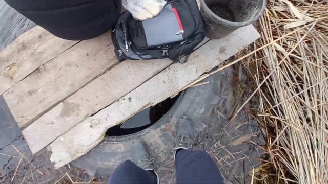 Пытаемся Поймать Рыбу