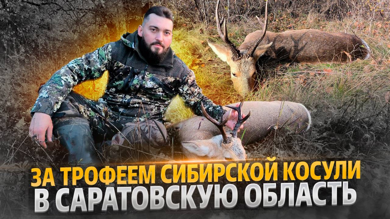 За трофеем сибирской косули в Саратовскую область