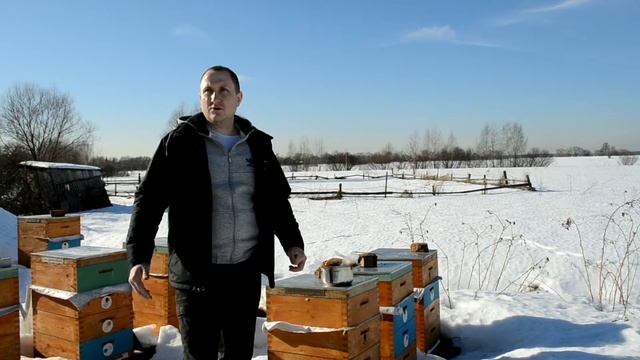 Весенние работы с пчелами,подкормка,осмотр