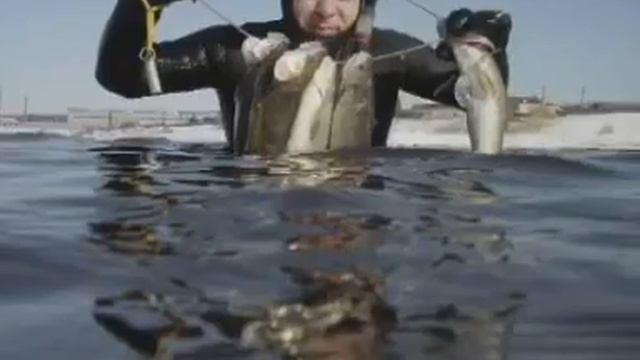 VTS_05_0.ifo - Фильм 01