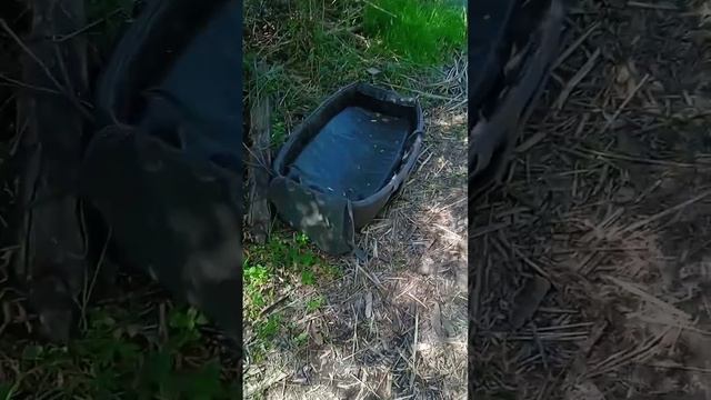 Обзор 12 сектора. Гавриловский пруд. Самарской области.