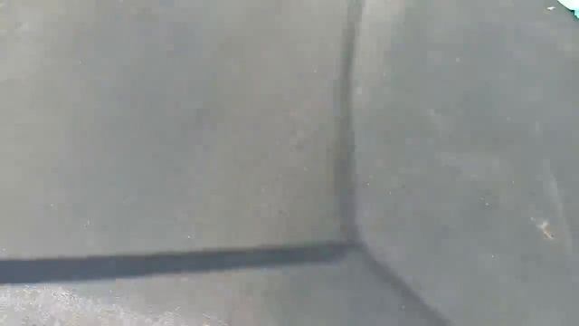 ПОЖАРНЫЕ не едут на спасение кошки (1 часть)