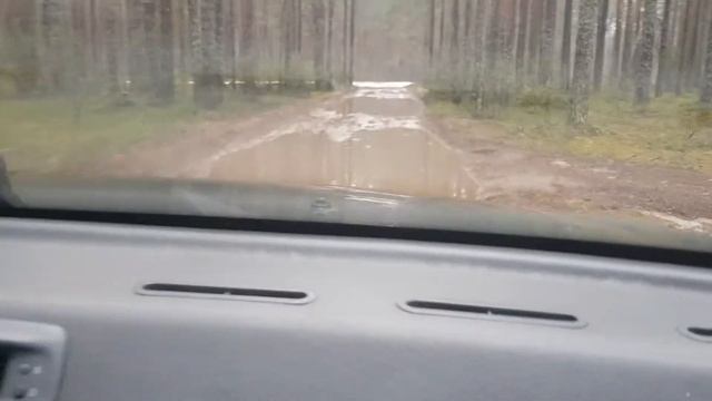 По лужам на нексии