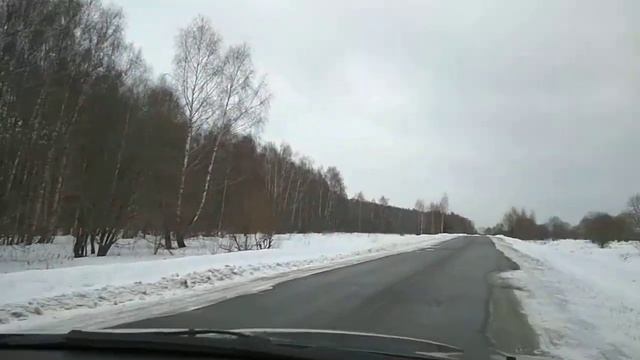 Вырубают лес. ЗАО"Муром"