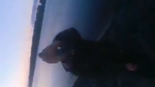 Язя поймал смотреть всем ржач