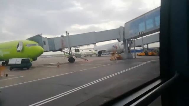 Переезд? Москва-Питер? //видео Софы RCH//