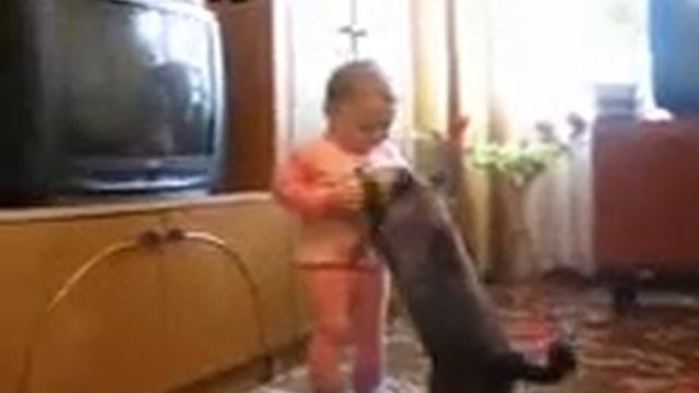 Кошка спасает котёнка от ребёнка