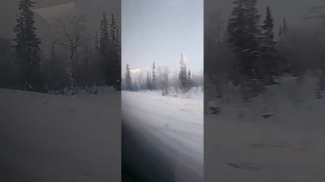 едем в Саамскую деревню