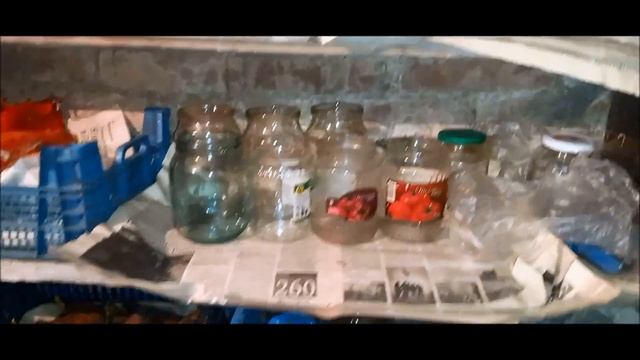 Слазил в погреб проверить продукты.