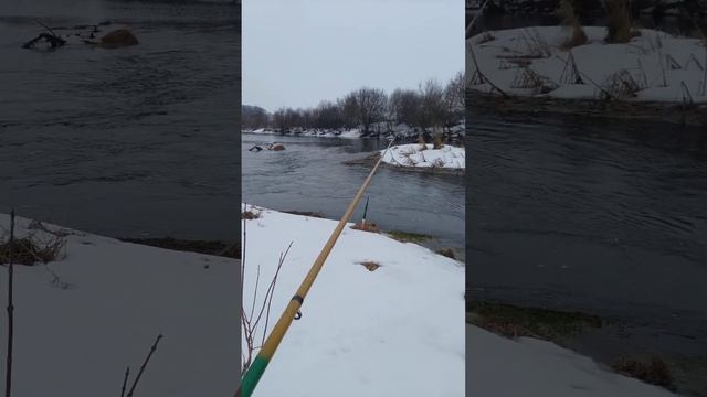 Рыбалка на ПОПЛАВОЧНУЮ удочку 🐟 ВЕСНОЙ 🎣 малые реки 🌊🎣📽️🏞️🌲🌲🌲☃️🌀📽️