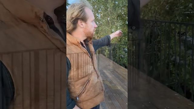 К30, Мачты, Дельфин, СПб, октябрь 2020