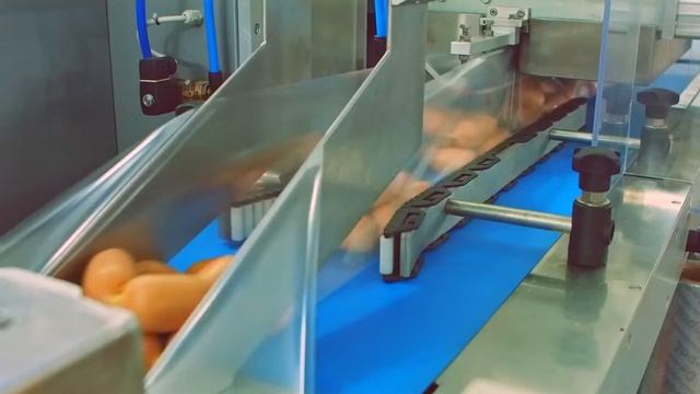 «Бобруйский мясокомбинат» видео презентация для выставки