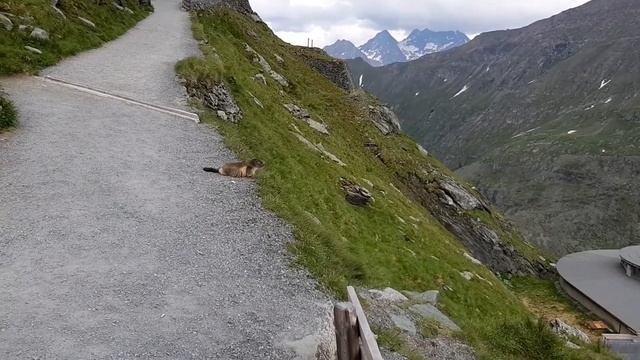 Второй день путешествия в Австрию летом. Поездка на Großglockner. 14.07.2020